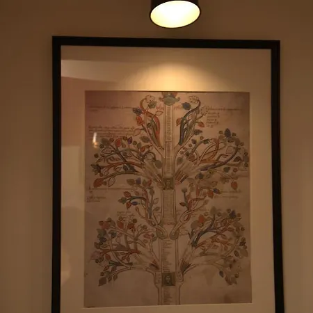 Sul Mare קטנזארו